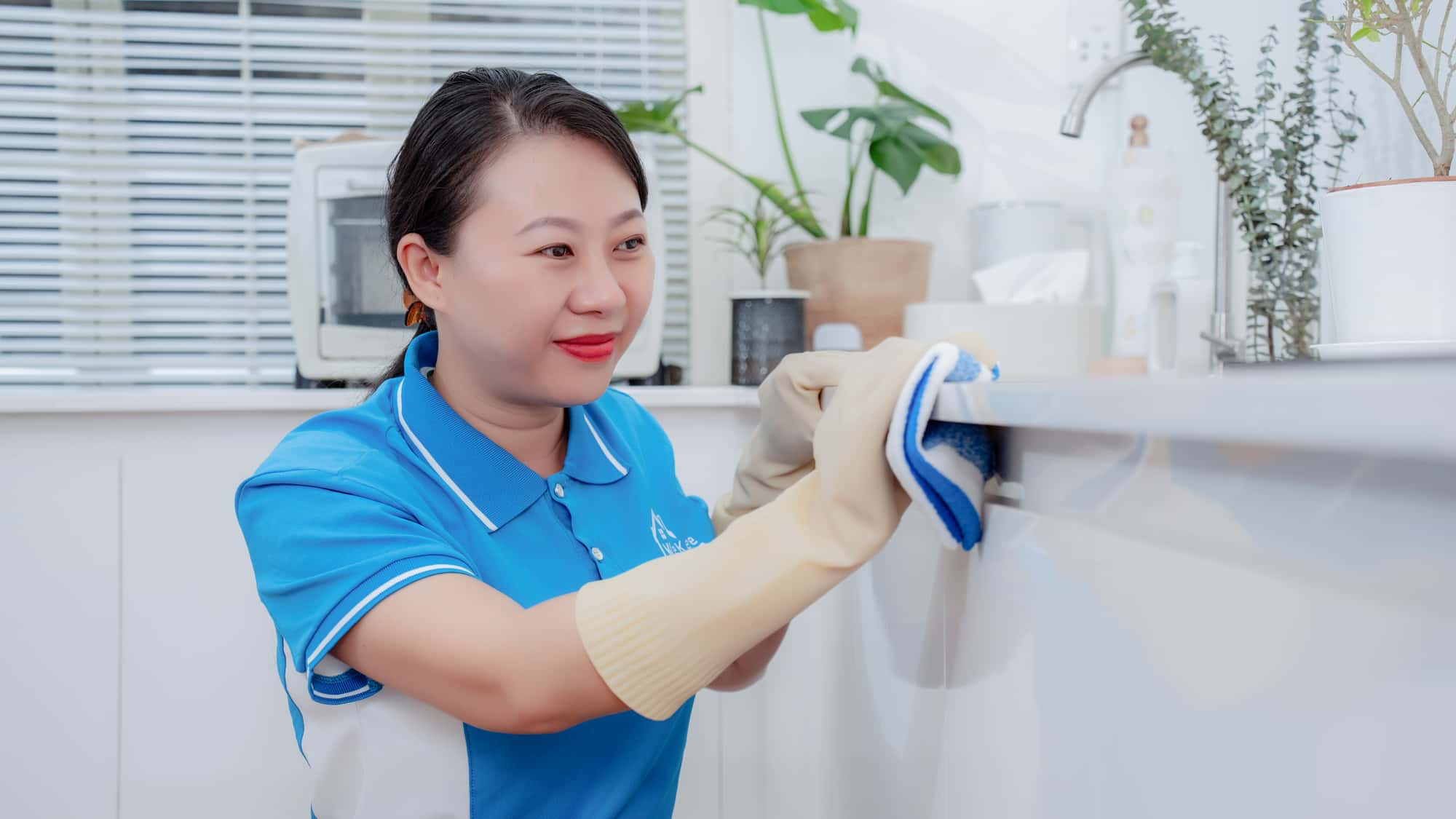 Nhân viên giúp việc Phạm Thị Hồng
